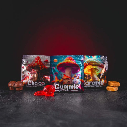 kratom world magic shrums pilz bonbons karamel schokolade gummies kratomworld verkauf shrums paddenstoelen snoepjes karamel chocolade gummies shrums caramel chocolate hongos gomitas kratomworld venta